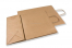 Sacos de papel com alças torcidas - castanho, 320 x 140 x 420 mm, 100 gr | Envelopesonline.pt