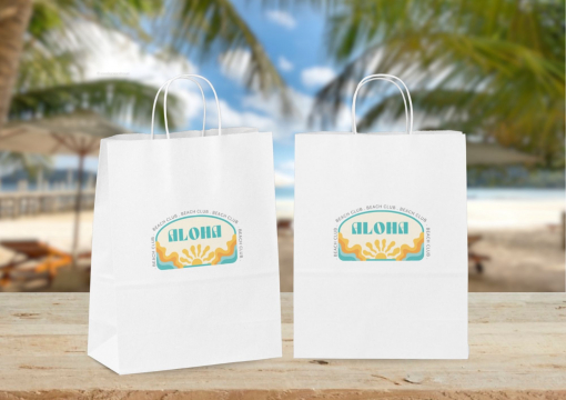 Sacos de papel com alças torcidas | Envelopesonline.pt