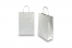 Sacos de papel com alças torcidas - prateado, 220 x 100 x 310 mm, 90 gr | Envelopesonline.pt