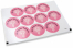 Selos para envelope de comunhão - mi primera comunión cruz cor-de-rosa | Envelopesonline.pt
