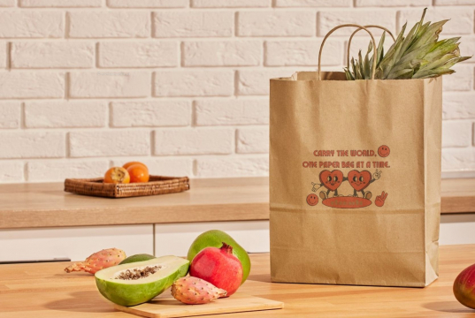 Sacos de papel com alças torcidas | Envelopesonline.pt